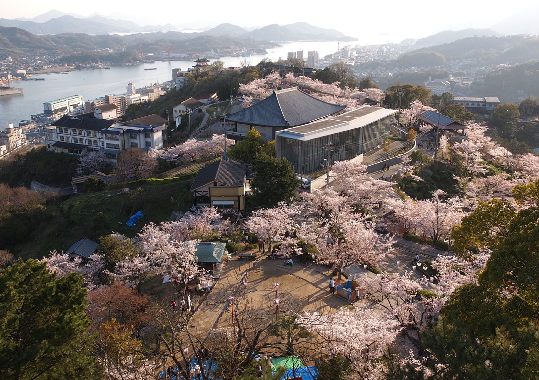 千光寺公園