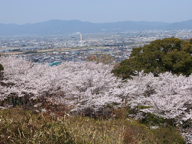 徳島平野