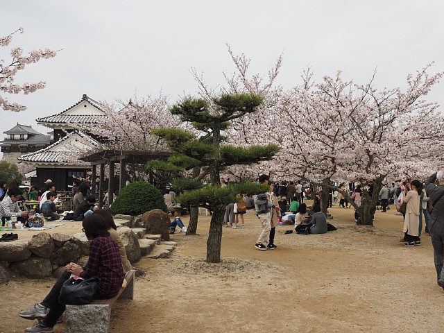 城山公園