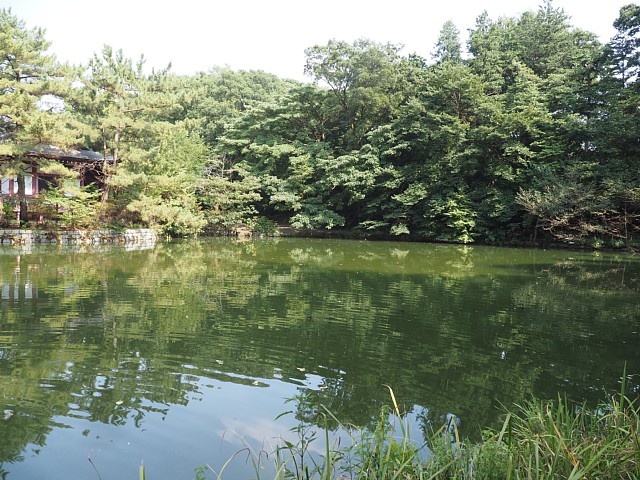 三宝寺池