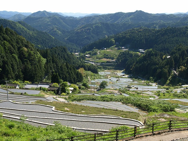 四谷千枚田を上から