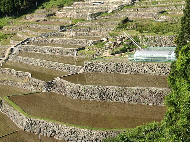 四谷千枚田を横から