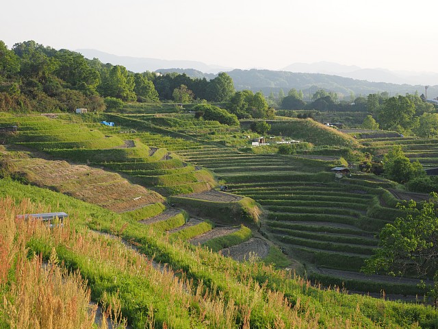 棚田展望台より