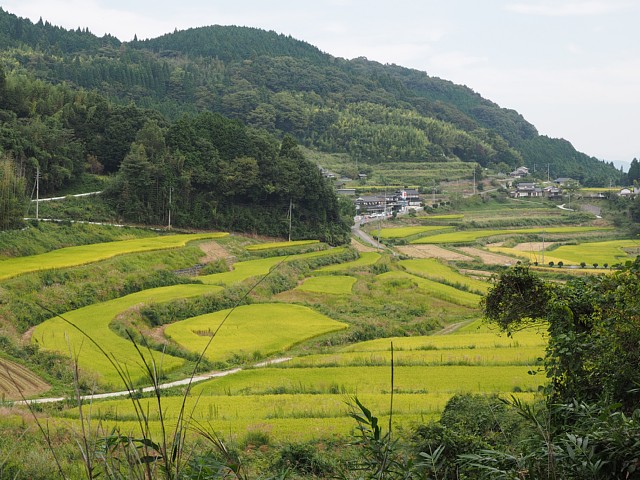 北庄の棚田