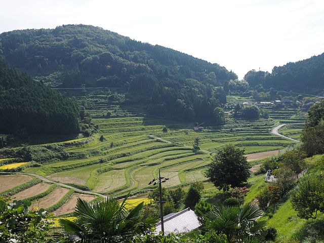 大垪和西の棚田