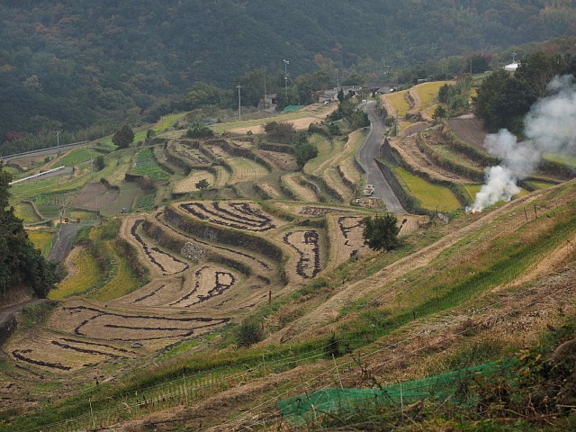 中山千枚田