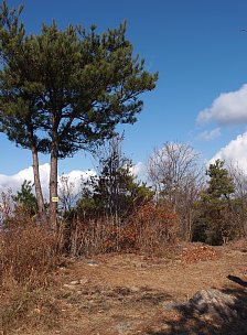 烏帽子岩山山頂