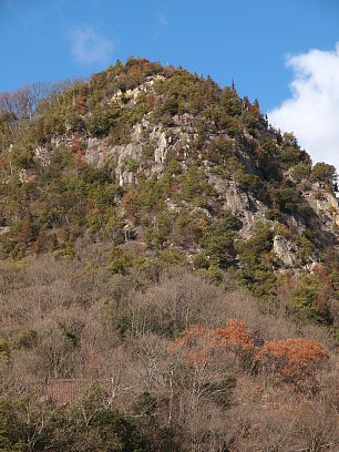 新高山城跡