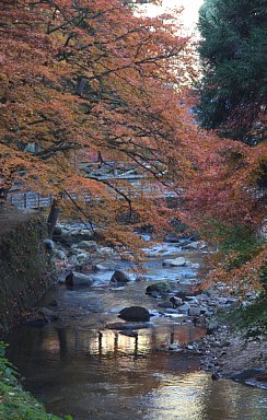 佛通寺川