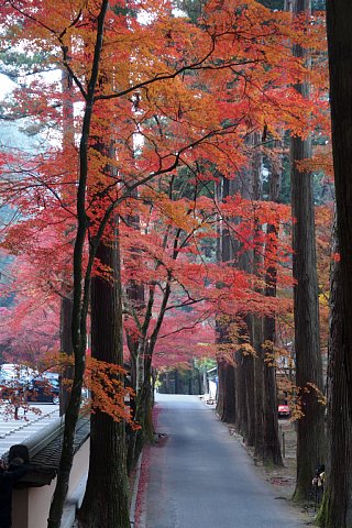 佛通寺の紅葉