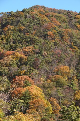 龍王山