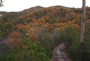 高鉢山