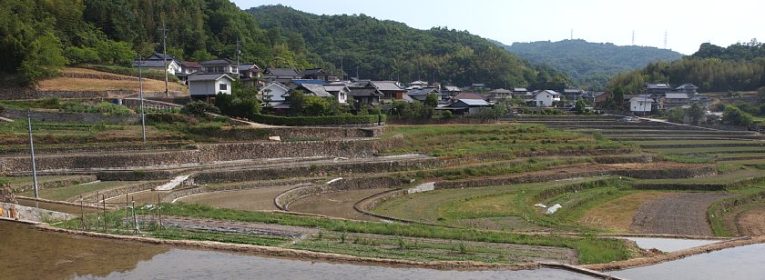 門田の田園