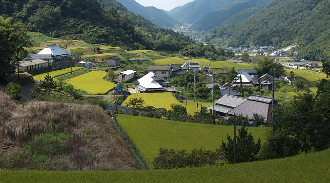 迫田の棚田