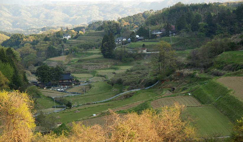 北庄・平尾の棚田