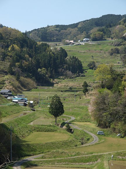 角石畝の棚田