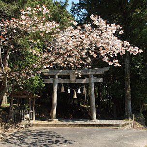 和田神社