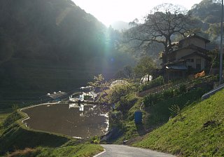 秋政の逆光風景