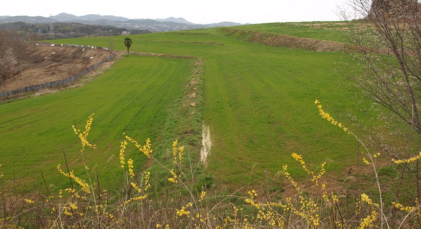 上山牧場