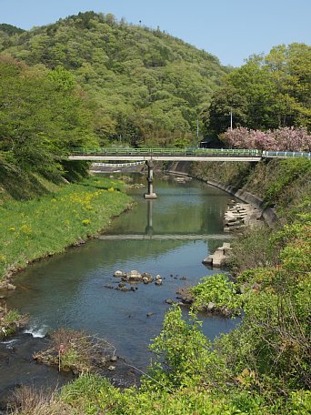 誕生寺川