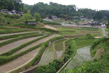 国時地内の棚田