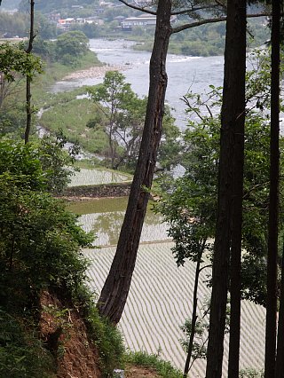 高梁川