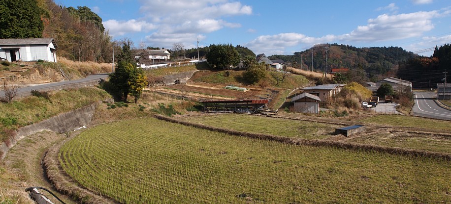 湯野