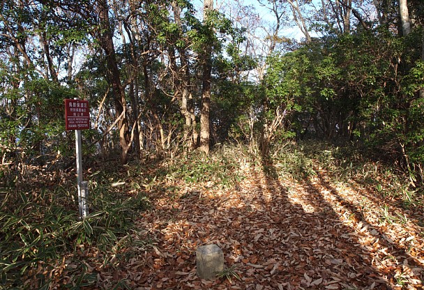 天神山山頂