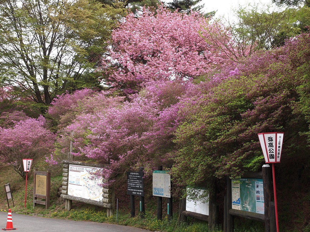 弥高山公園