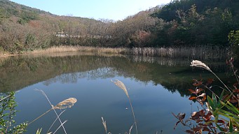 ふれあいの森