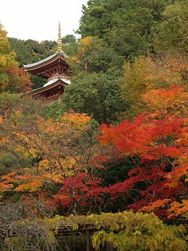 今熊野観音の塔