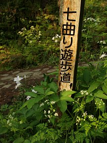 七曲り遊歩道