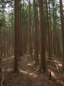 果てない登り