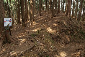 新茶屋分岐