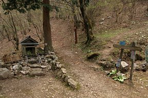 尾根道・巻き道分岐