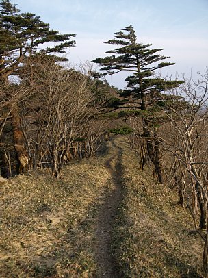 地蔵岳への道