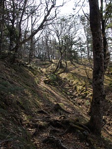 巻き道