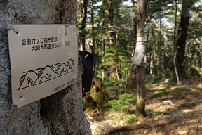 全山リレー縦走