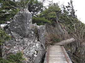 板の渡り