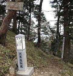和左又分岐