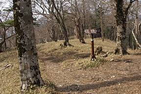行者還トンネル上北山出口への下り口