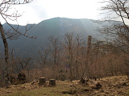 弥山