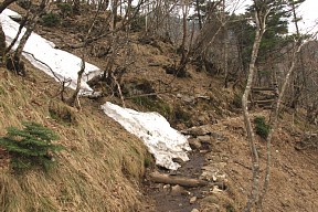 残雪
