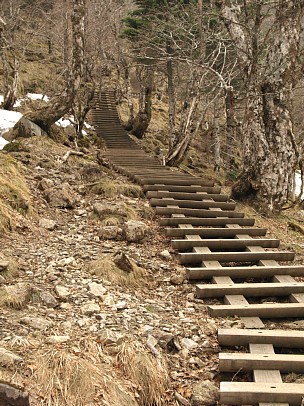 弥山へ続く階段