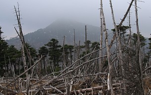八経ヶ岳