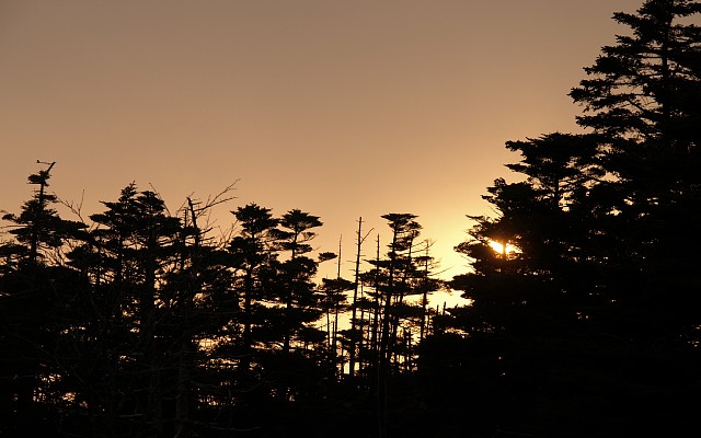 夕日