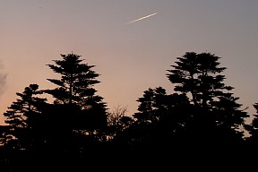飛行機雲