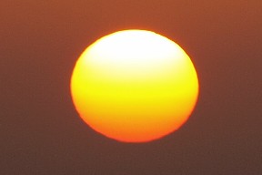 太陽