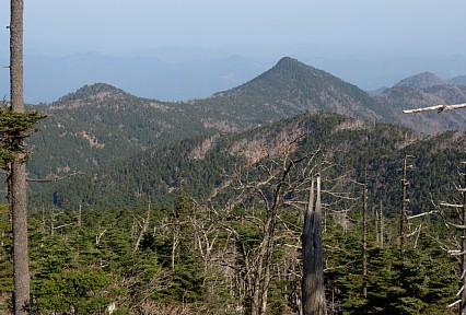 頂仙岳