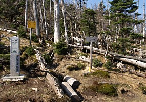 弥山辻